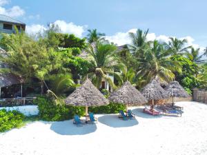 una playa con sillas, sombrillas y palmeras en HEBE Bungalows Lodge, en Matemwe