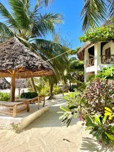 a beach with two benches and a building and palm trees at HEBE Bungalows Lodge in Matemwe