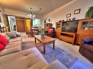 een woonkamer met een bank en een tv bij Pics, centro de Andorra para 6. in Andorra la Vella