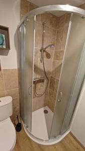 uma cabina de duche em vidro numa casa de banho com WC em Appartement dans les vignobles em Cierzac