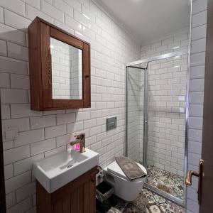 a bathroom with a toilet and a sink and a mirror at Villa Citronella Boutique Hotel in Antalya