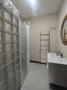y baño con ducha, lavabo y espejo. en Villa Naranjo, en Sevilla