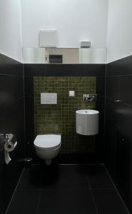 łazienka z toaletą i umywalką w obiekcie Moderne Apartments in attraktivem Altbau we Fryburgu Bryzgowijskim