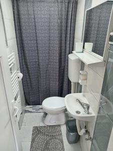 e bagno con servizi igienici, lavandino e doccia. di APARTMAN “POD KRALJEVICOM” a Zaječar
