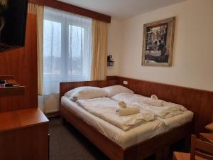 a bedroom with a large bed with a window at Hotel Panský dům in Blovice