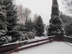 a snow covered yard with a fence and trees at Zielony Zakątek in Piechowice