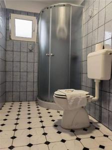 a bathroom with a toilet and a shower at Vila Antik in Ilirska Bistrica