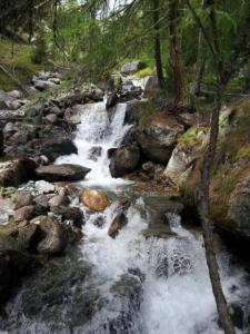 un ruscello d'acqua con rocce in una foresta di Unterkunft a Zernez