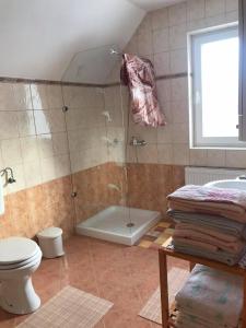 a bathroom with a shower and a toilet and a tub at Apartmaji Misotič in Gozd Martuljek