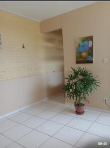 um quarto com uma planta e uma pintura na parede em Edifício Plaza Ville em Salvador