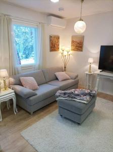 uma sala de estar com um sofá e uma televisão em Persoonallinen pieni asunto em Oulu