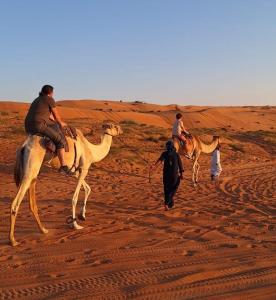 Un gruppo di persone che cavalcano cammelli nel deserto di AlRaha Chalet a Badīyah