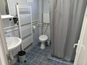 Kamar mandi di APARTMAN “POD KRALJEVICOM”