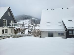Panoramablick Winterberg - 3 Zimmer v zimě