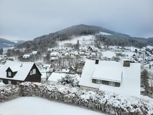 Panoramablick Winterberg - 3 Zimmer v zimě