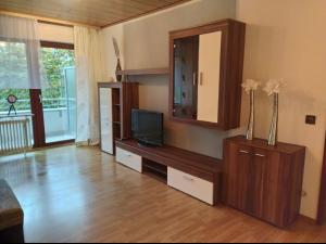 uma sala de estar com televisão e espelho em Schöne Ferienwohnung mitten in Koblenz em Koblenz