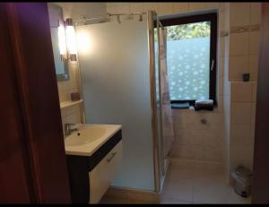 een badkamer met een wastafel, een douche en een wastafel bij Schöne Ferienwohnung mitten in Koblenz in Koblenz