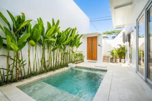 uma piscina em frente a uma casa com plantas em Eden Cemagi Villa Mengwi em Mengwi