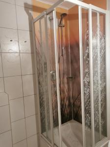 a shower with a glass door in a bathroom at Hotel am Wariner See in Warin +36 photos