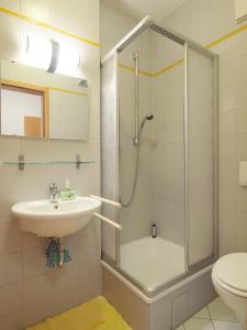 a bathroom with a shower and a sink and a toilet at Laurin Apartment L62 in Dresden