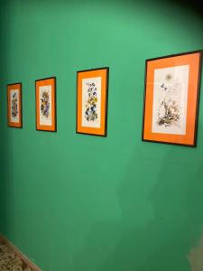 un gruppo di immagini incorniciate su una parete verde di Comfortable and Friendly Apartment a Trieste