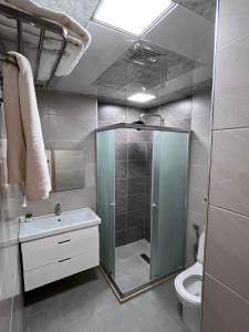 ein Bad mit einer Dusche, einem Waschbecken und einem WC in der Unterkunft Jupiter in Baku