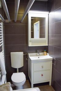 克拉尼的住宿－Apartment in the center of Kranj，一间带卫生间、水槽和镜子的浴室