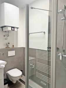 een badkamer met een douche en een toilet bij See-Hase in Grömitz