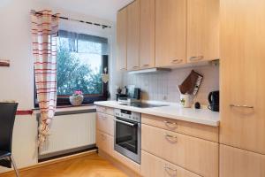 a kitchen with wooden cabinets and a stove top oven at Mole Valley Ranch Fewo1 in Elmlohe