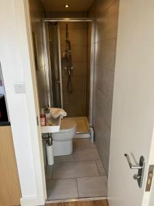 Private Studio Room With Your Shower and Kitchen في لندن: حمام صغير مع مرحاض ومغسلة
