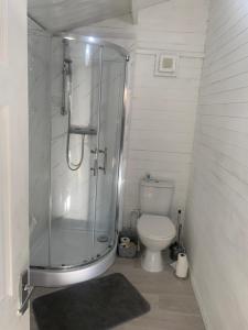 a bathroom with a shower and a toilet at Owls Nest Log Cabin in Morpeth +20 photos