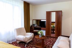 um quarto de hotel com um sofá, uma cadeira e uma secretária em Hotel Violeta em Druskininkai