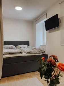 a bedroom with a bed and a flat screen tv at Traunsee Design Apartment for 2 People in Gmunden