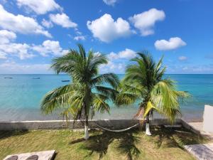 two palm trees with a hammock on the beach at HOTEL POSADA DEL MAR in Providencia