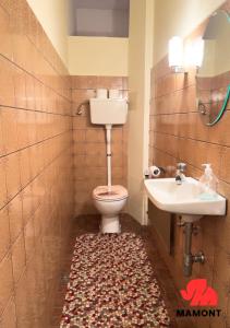 a bathroom with a toilet and a sink at Große, helle Monteurwohnung in Bremen