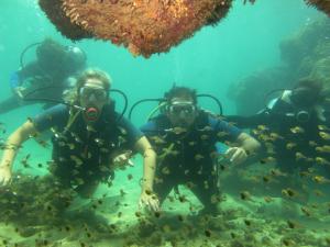 a group of people swimming in the ocean at Chalé Raio de Sol in Marau