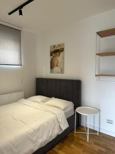 Gambar di galeri bagi Vulkan LUX apartments di Zemun