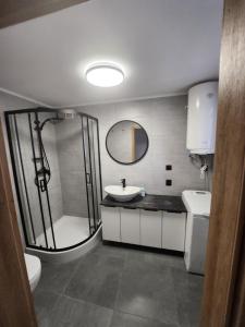 bagno con lavandino, doccia e servizi igienici di Apartamenty Herman 