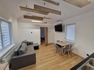 Μια τηλεόραση ή/και κέντρο ψυχαγωγίας στο Apartamenty Herman