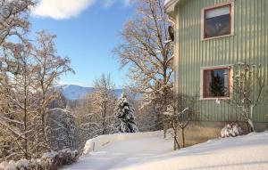 a green house in the snow with trees at Amazing Home In Jrpen With House A Mountain View in Järpen
