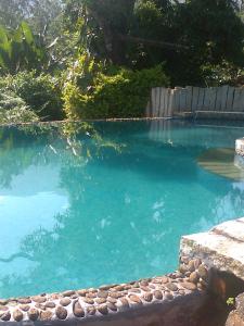 una piscina de agua azul con rocas alrededor en Annapara Home Stay en Vythiri