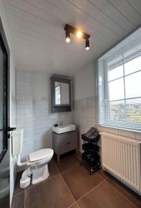 ein Badezimmer mit einem WC, einem Waschbecken und einem Spiegel in der Unterkunft Weimarer Modern Woody Apartment in Buttelstedt
