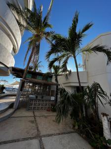 un bâtiment avec des palmiers en face de celui-ci dans l'établissement Condominio Agave del Mar, à Coyuca