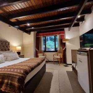 sypialnia z dużym łóżkiem i telewizorem w obiekcie Altos Los Pioneros & Spa w mieście Villa La Angostura