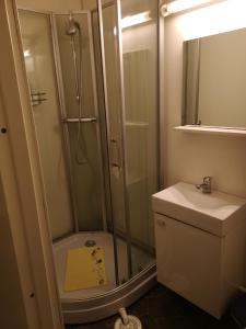 a bathroom with a shower and a toilet and a sink at Best no1 in Manndalen