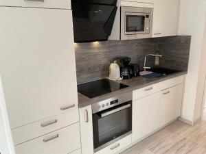 Kuchyň nebo kuchyňský kout v ubytování Premium-Doppelferienhaus mit 2 Wohnungen mit Sauna, Whirlpool