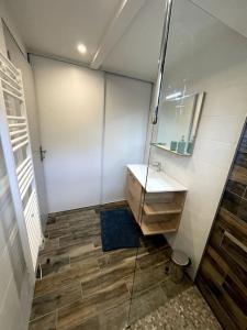 uma casa de banho com um lavatório e um espelho em Jolie maison dans un quartier très calme em Martignas-sur-Jalle