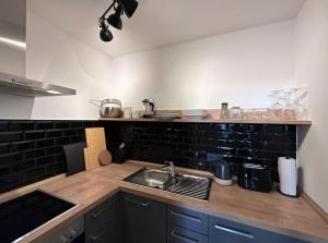 uma cozinha com um lavatório e uma bancada em Urban Apartments Weimarer Land em Buttelstedt