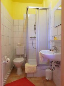 W łazience znajduje się toaleta, prysznic i umywalka. w obiekcie Muschelsucher - Sünnenkieker WE10 - ABC250 w mieście Beckerwitz