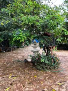 a tree with a garden hose next to a tree at Casa para locação no período da Tecnoshow Comigo 2024 in Rio Verde
